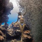 Fishies