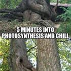 Five Minutes In