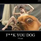 Fk You Dog