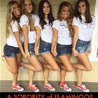 Flamingos