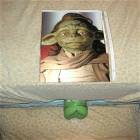 Fleshlight