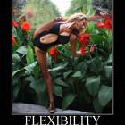 Flexibility