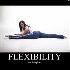Flexibility