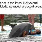Flipper