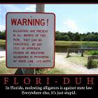Flori Duh