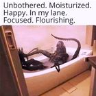 Focus
