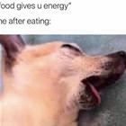 Food Gives You Energy