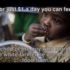 For Just One Dollar A Day