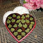 For My Sweetheart