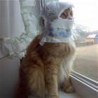 For Protection