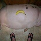 For Scale