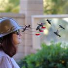 For The Birds