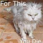 For This You Die