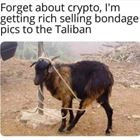 Forget Crypto