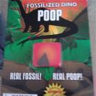 Fossilized Dino Poop