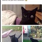 Found The Perfect Solution