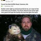 Found This Cat
