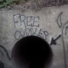 Free Cuddles