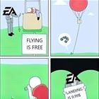 Free Flight