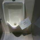 Free Gum