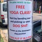 Free Yoga