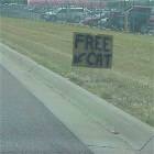 Free_cat