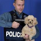 Freeze Or Else