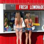 Fresh Lemonade