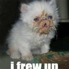 Frew Up