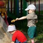 Friendship