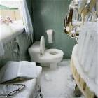 Frozen Bathroom