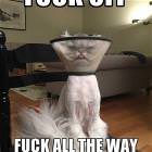 Fuck Off