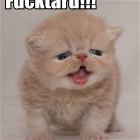 Fuck Tard