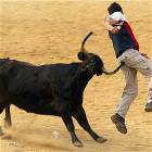 Fucking With Bulls