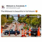 Full Bloom
