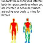 Fun Fact