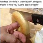 Fun Fact