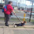 Fun Parenting