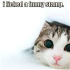 Funny Stamp