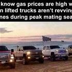 Gas Prices Are High