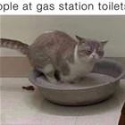 Gas Station Toilet