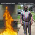Gasoline Has Multiple Reactions