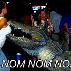 Gator Nomming