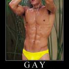 Gay