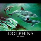 Gay Sharks