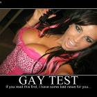 Gay Test