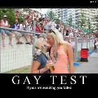 Gay Test