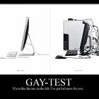 Gay Test