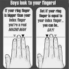 Gay Test
