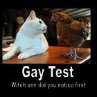 Gay Tester